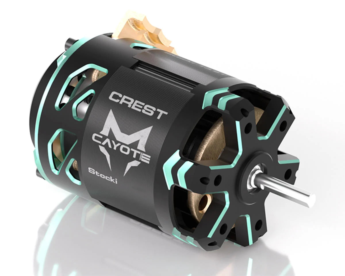 Cayote Crest Stocki 1/10 Brushless Competition Sensored Motor (13.5T) - CYEB11011
